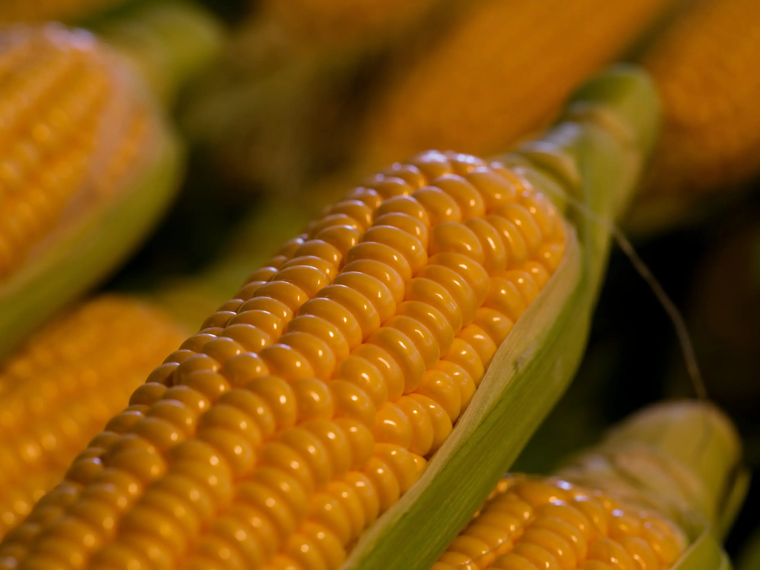 The Corn Test to Measure Transit Time